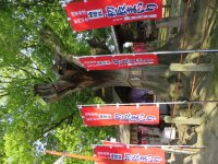 IMG_0558.JPG